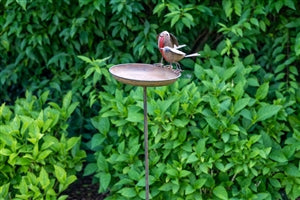 Iron Bird Table With Robin Pair 105cm