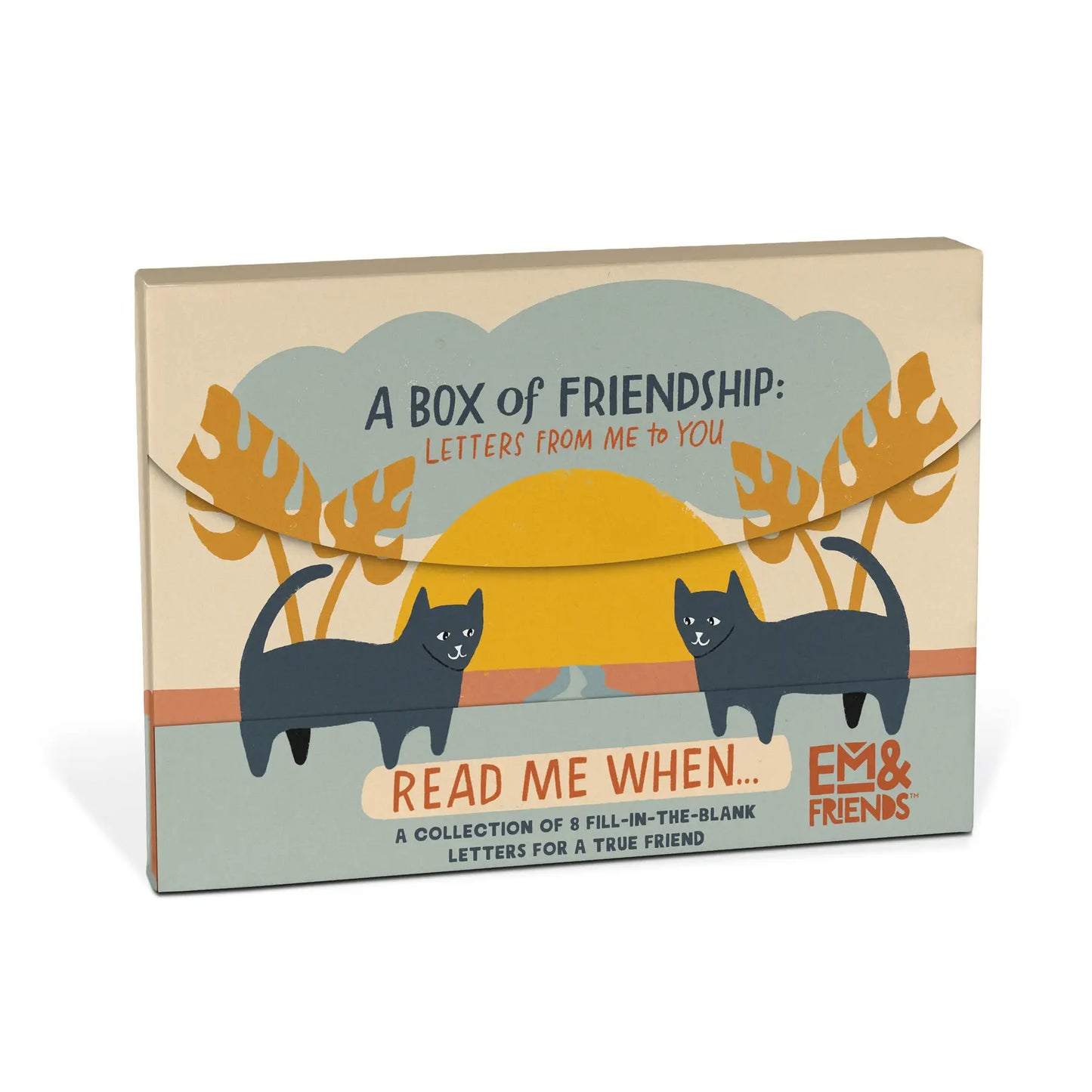 Em & Friends A Box of Friendship Fill in the Love Read Me