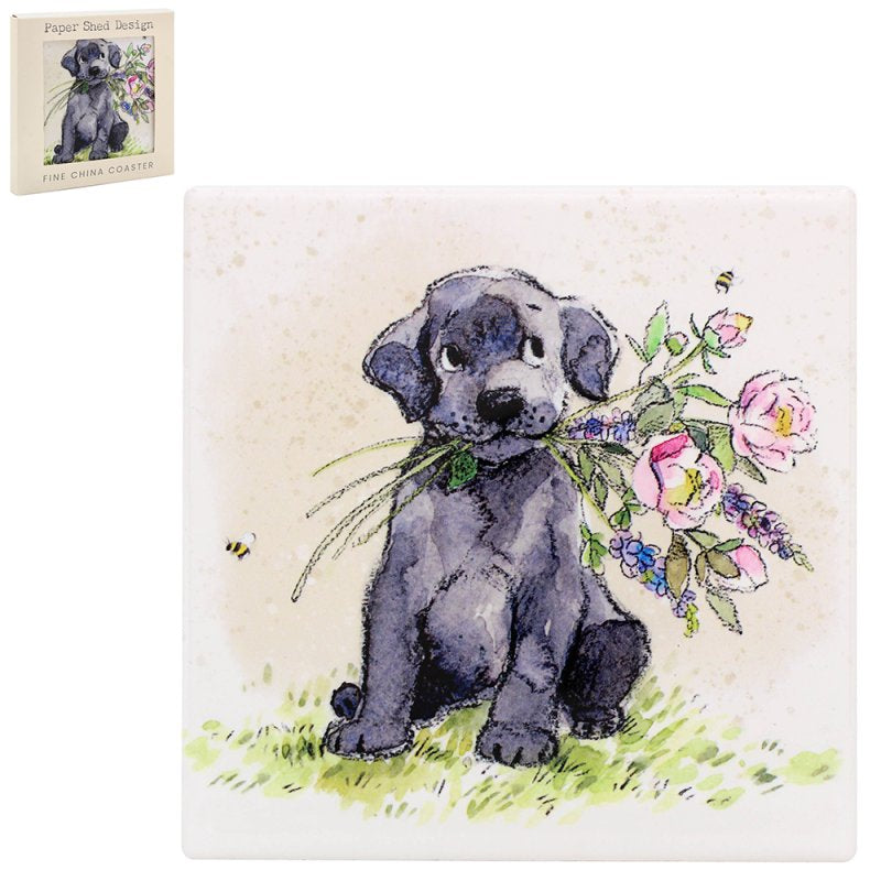 Dog with flowers collection by Papershed design