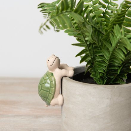 Green Turtle Plant Pot Hanger, 8.5cm