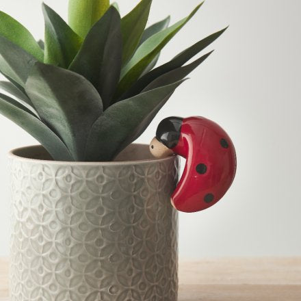 Ladybird porcelain Plant Pot Hanger