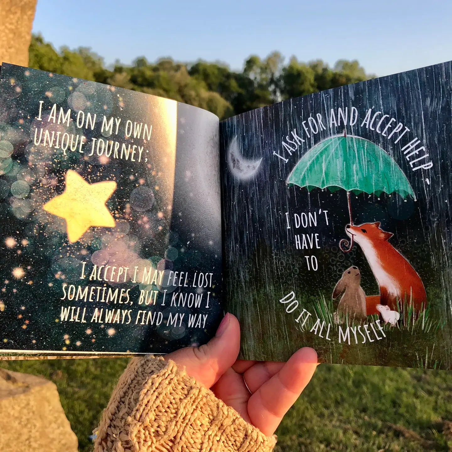 Fox under the Moon - Light In The Dark Picture Book