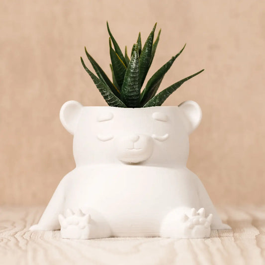 Eco-Friendly Bear Plant Pot: Sustainable 3D Printed