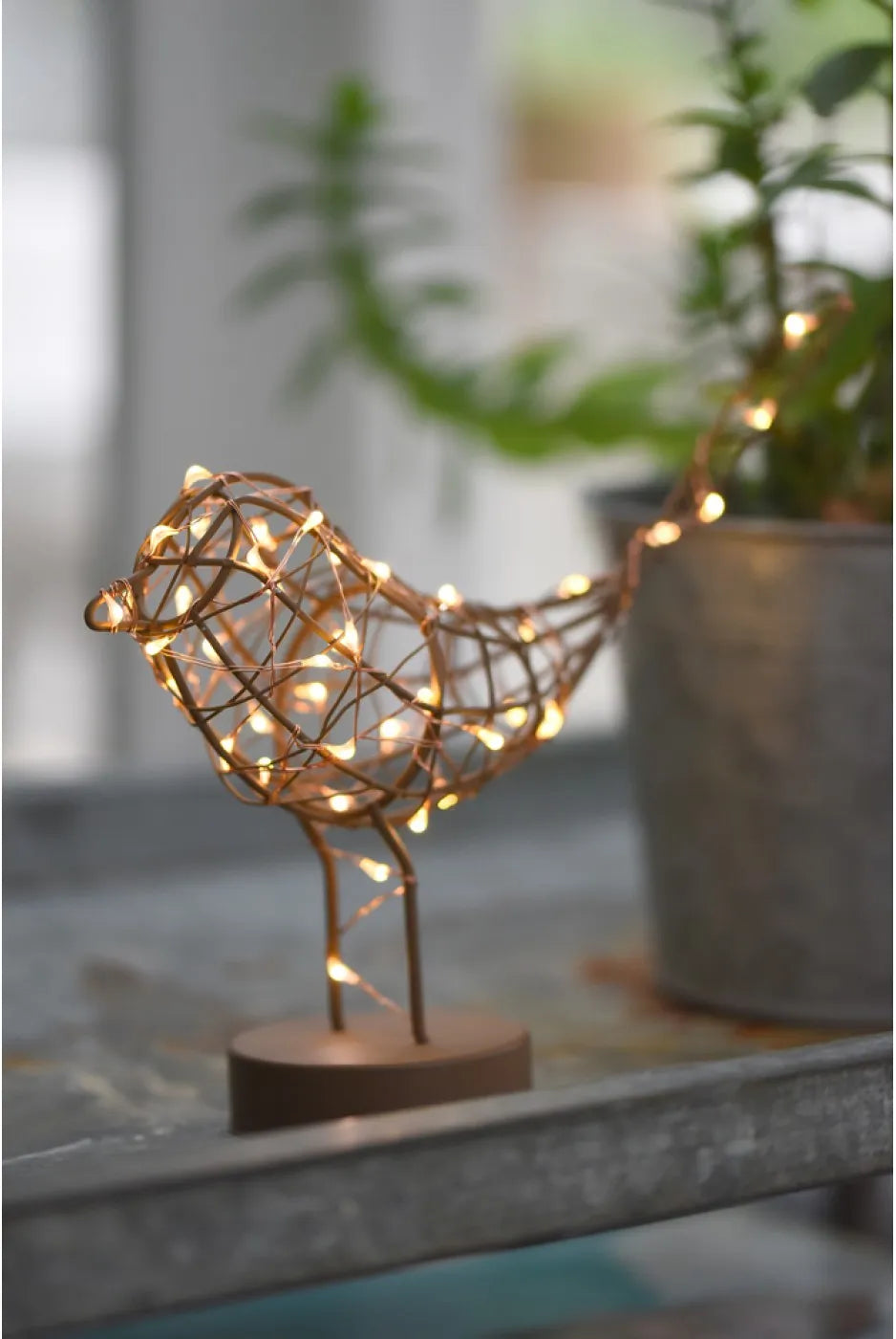 Battery operated light up Robin. Choice of white, copper or gold