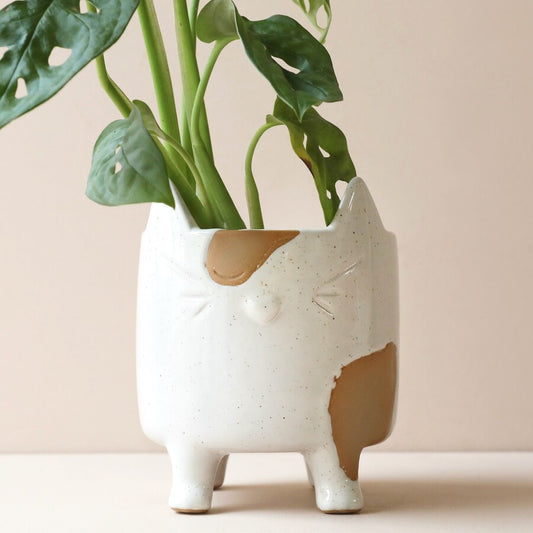 Natural Ceramic Cat Planter